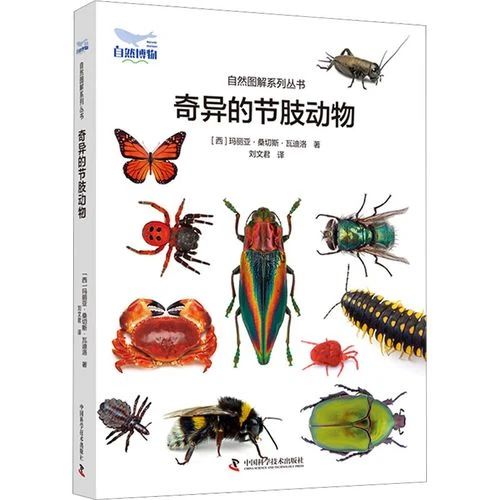 《奇异的节肢动物》