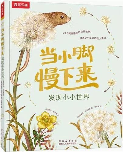《当小脚慢下来》
